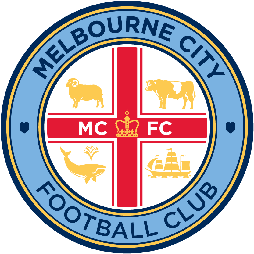 Melbourne City FC 2015-Pres Primary Logo t shirt iron on transfers